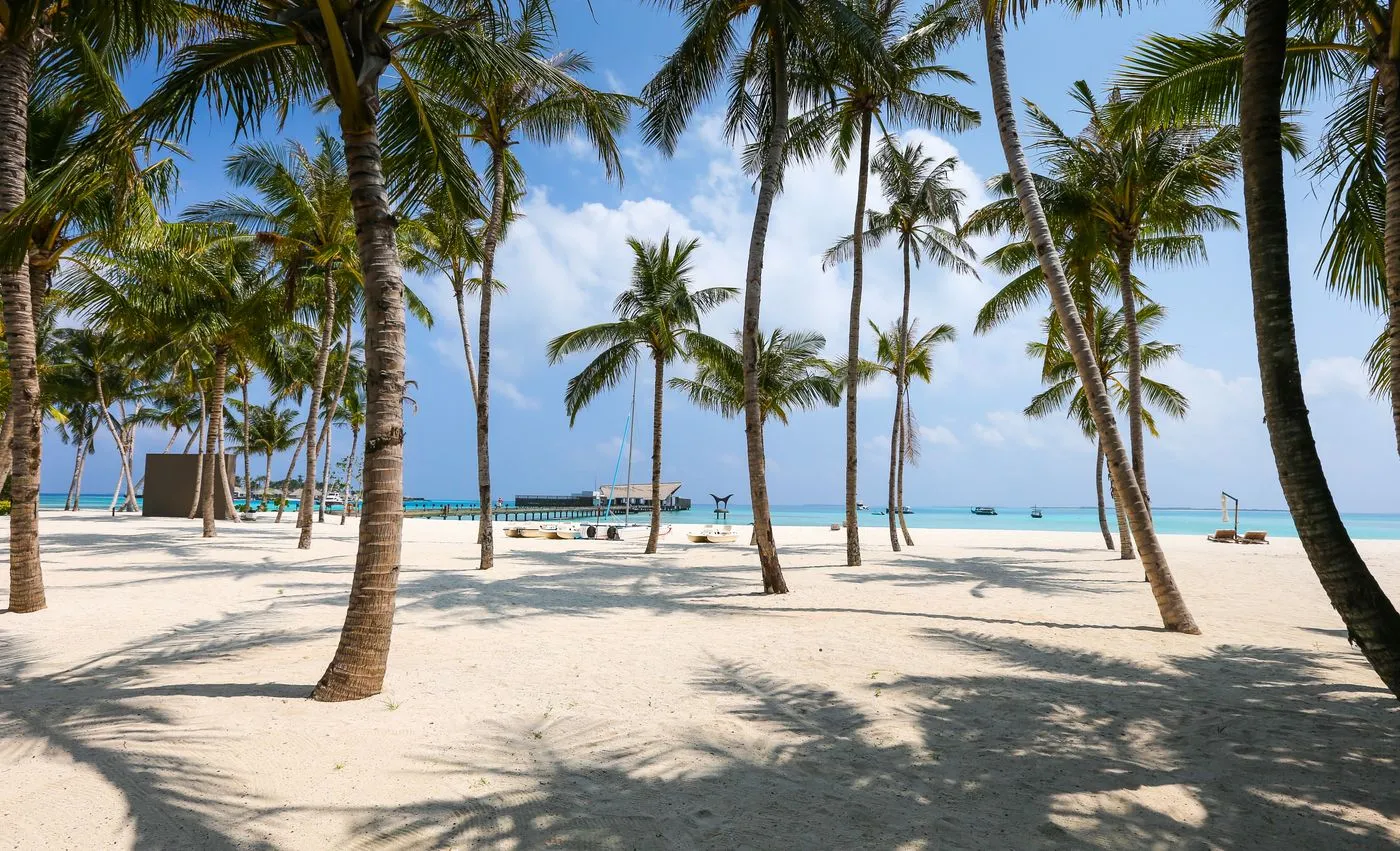 Palm trees framing a quiet tropical beach and calm sea