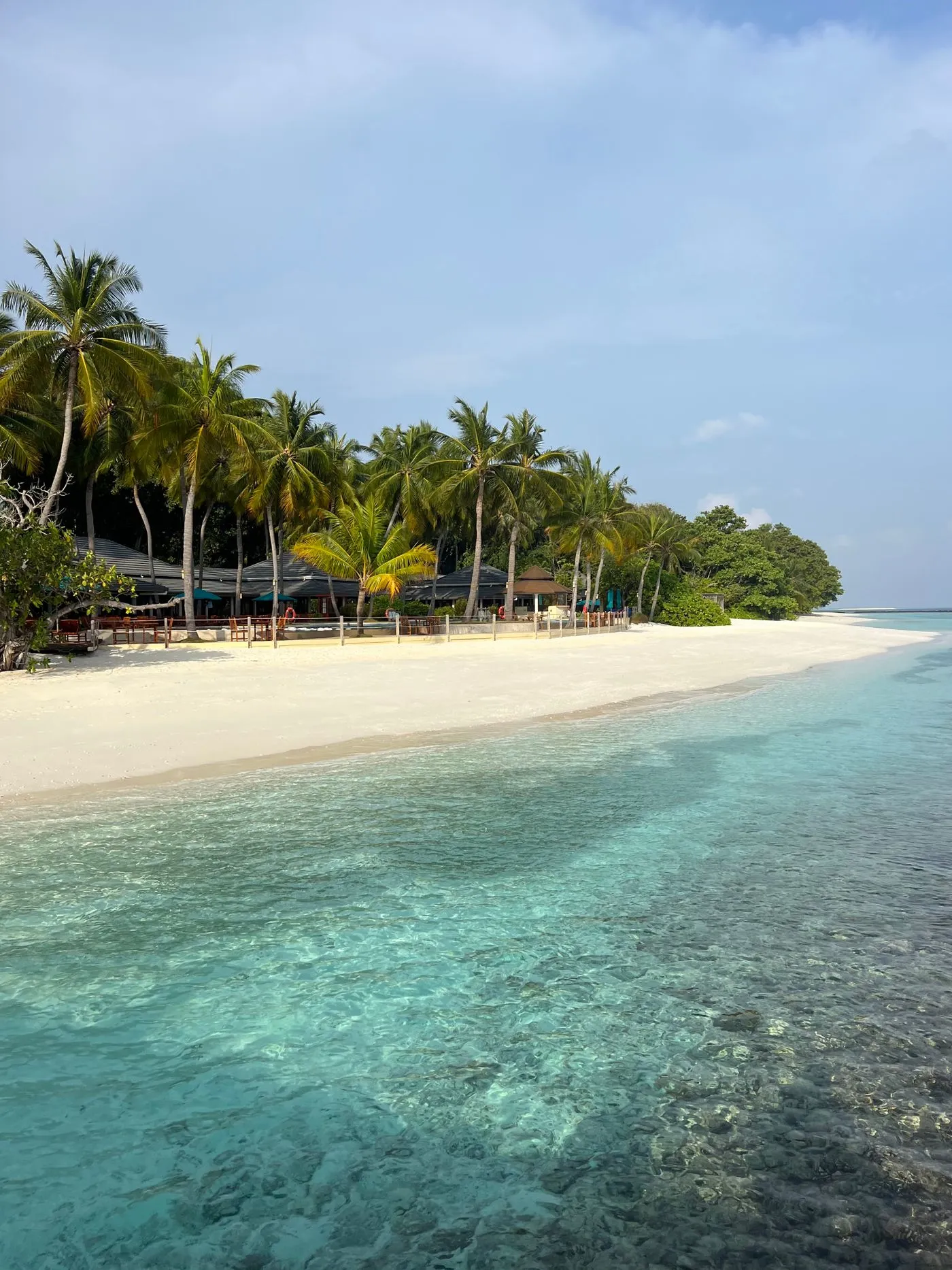 Representative view along a quiet island shoreline